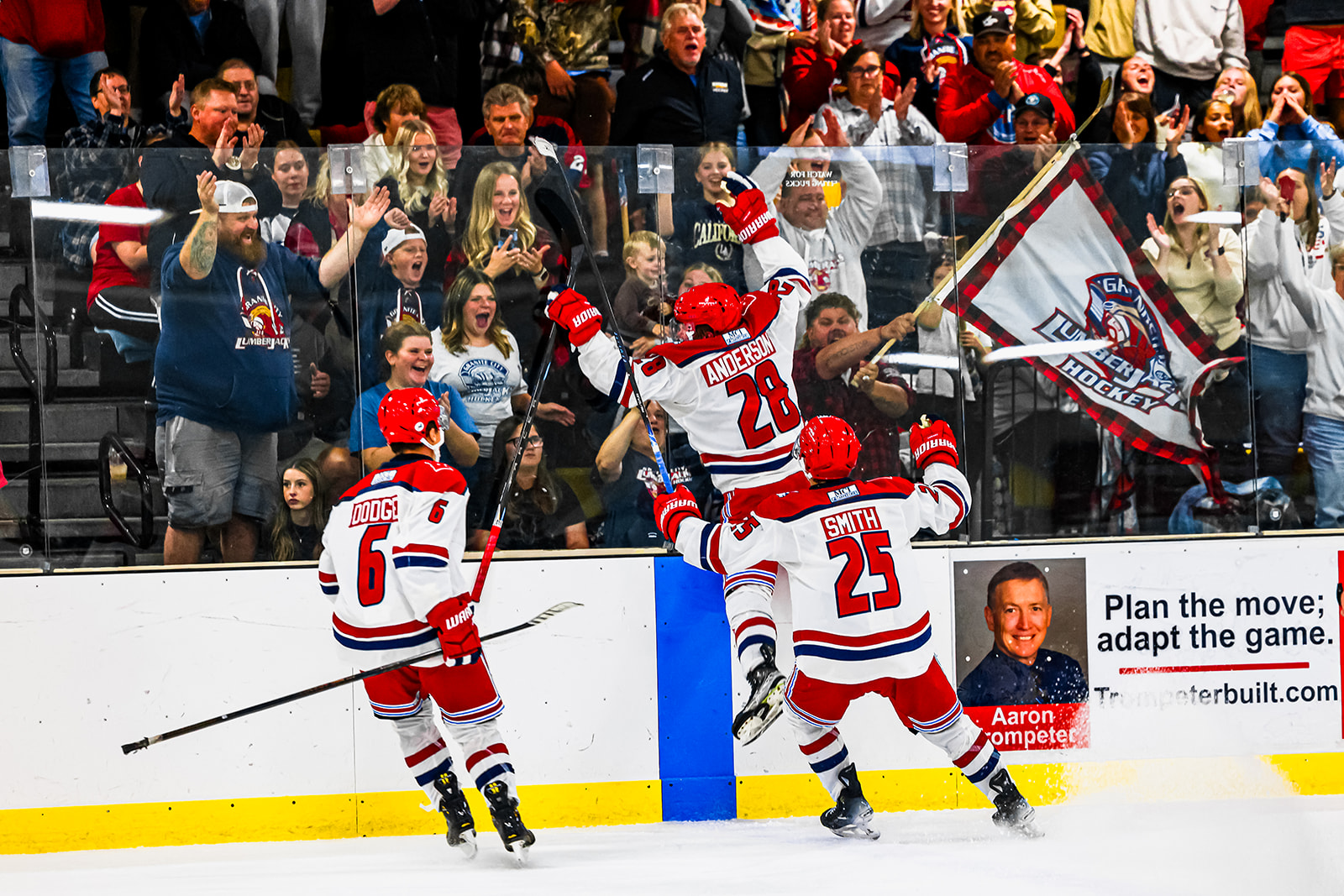 Granite City Lumberjacks players celebrating near the crowd